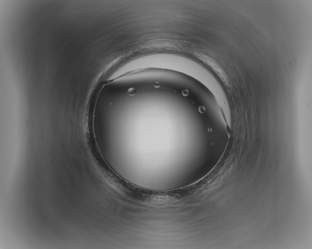 X0000111810399200908061119