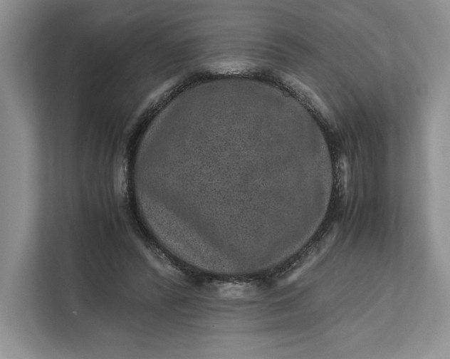 X0000111810400200908061119