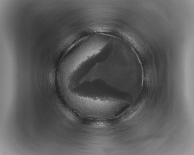 X0000111810402200908061119