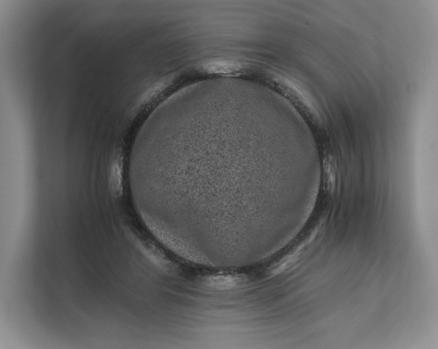 X0000111810404200908061119