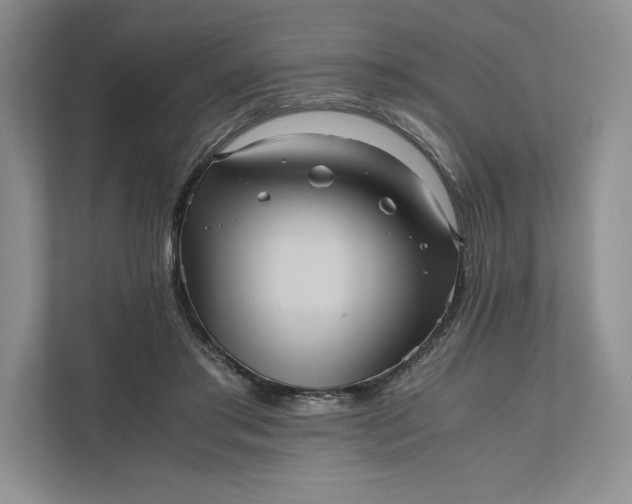 X0000111810405200908061119