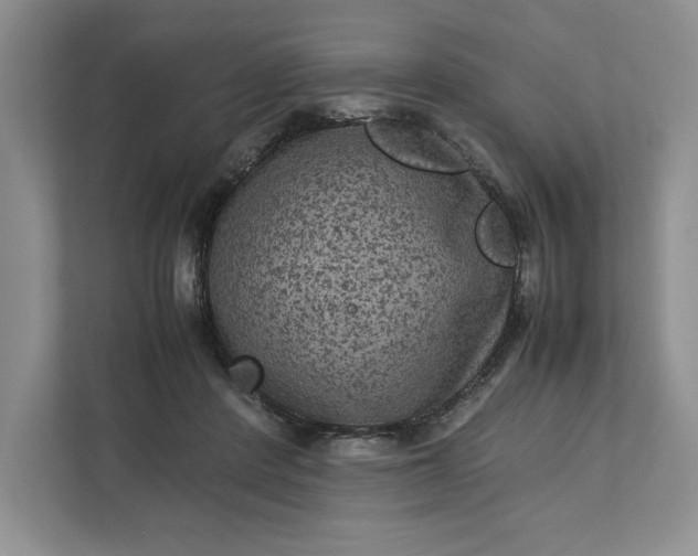 X0000111810408200908061119