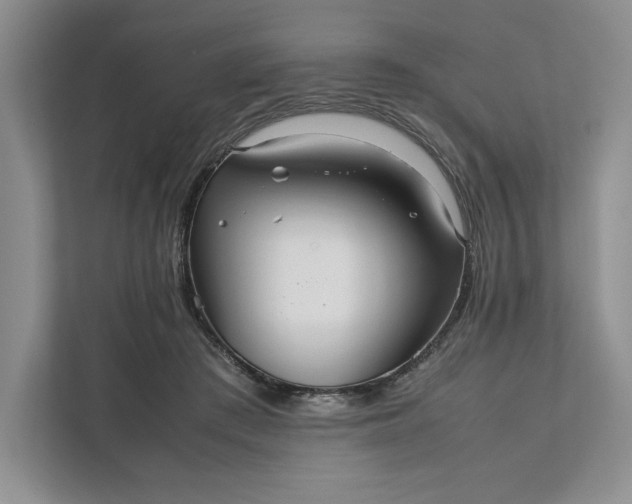X0000111810409200908061119
