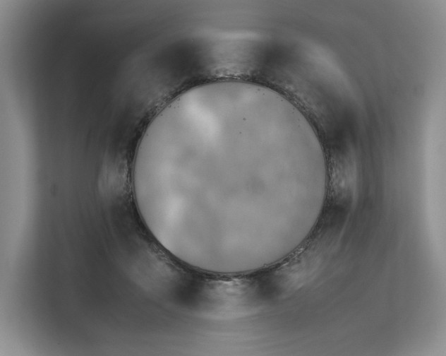 X0000111810411200908061119