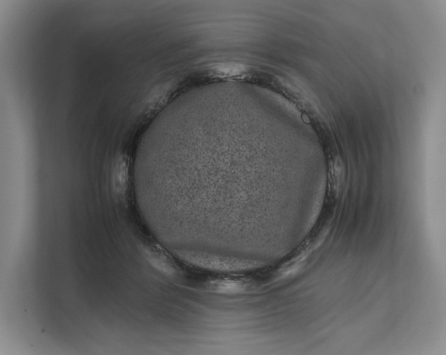 X0000111810412200908061119