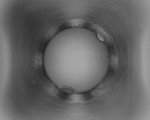 X0000111810413200908061119
