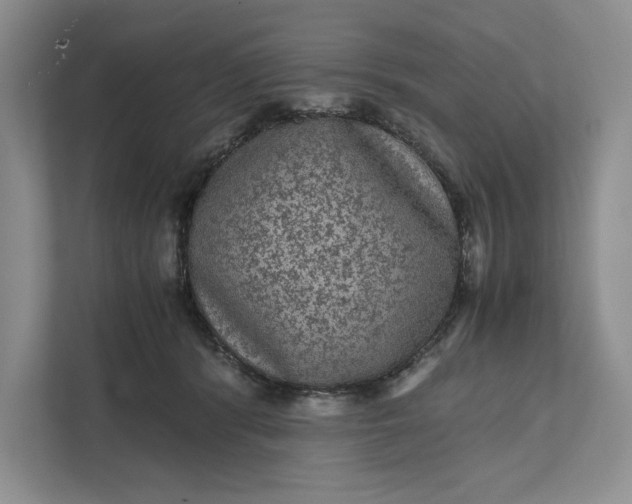 X0000111810416200908061119