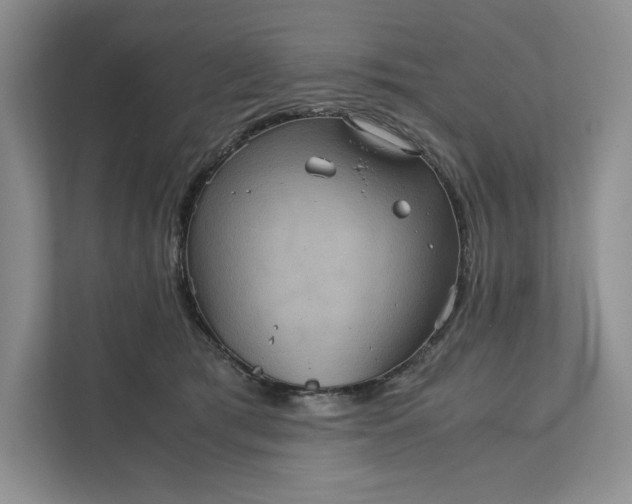 X0000111810417200908061119