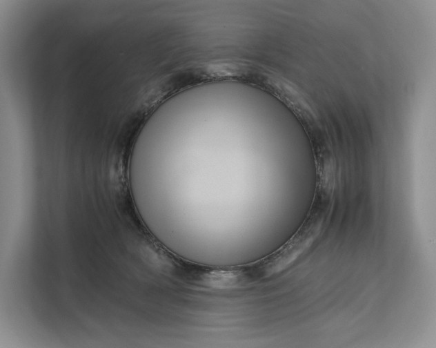X0000111810418200908061119