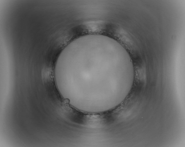 X0000111810419200908061119