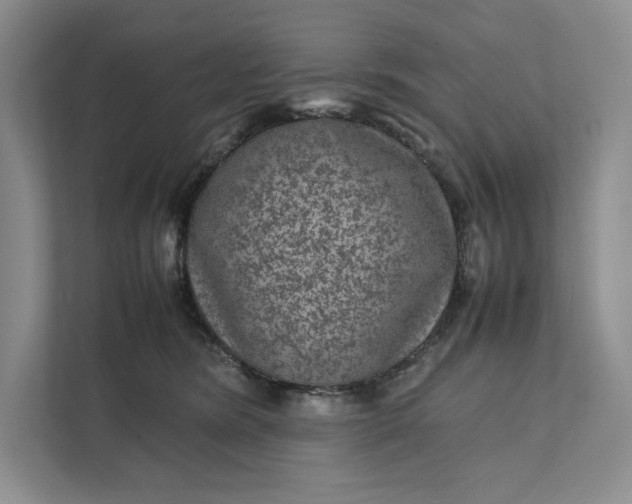 X0000111810420200908061119