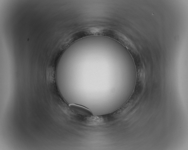 X0000111810421200908061119
