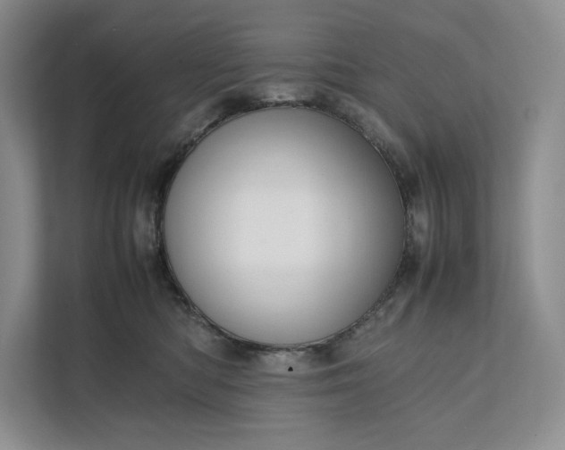 X0000111810422200908061119