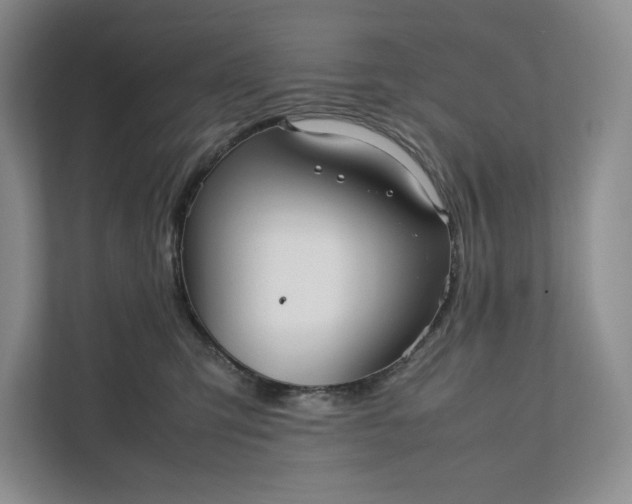 X0000111810423200908061119