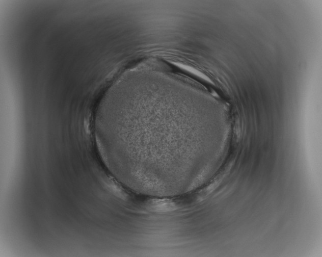 X0000111810424200908061119