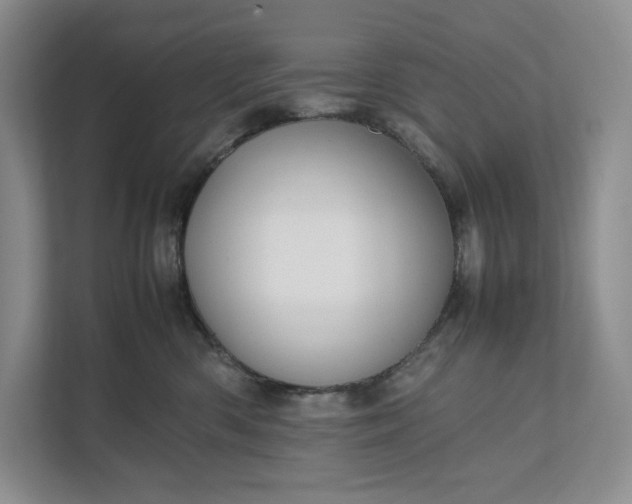 X0000111810426200908061119