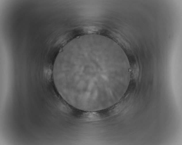 X0000111810427200908061119