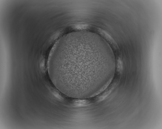 X0000111810428200908061119