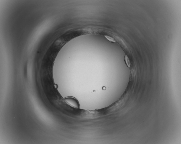X0000111810429200908061119