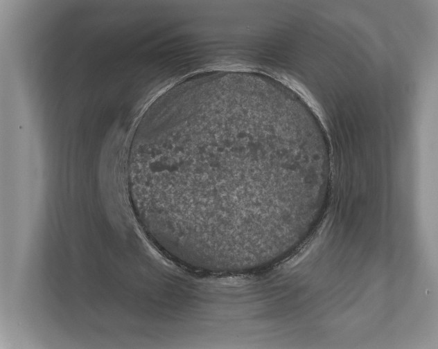 X0000111810433200908061118