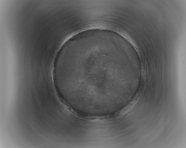 X0000111810434200908061118