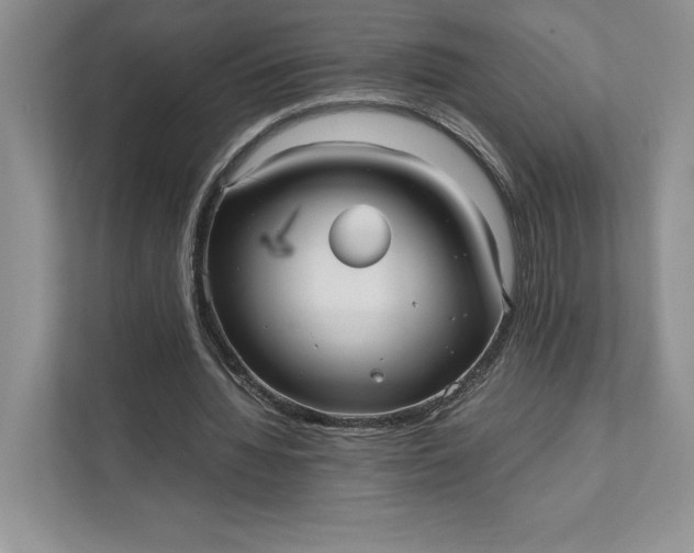 X0000111810436200908061118