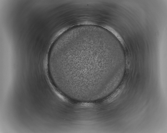 X0000111810437200908061118