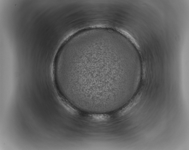 X0000111810439200908061118