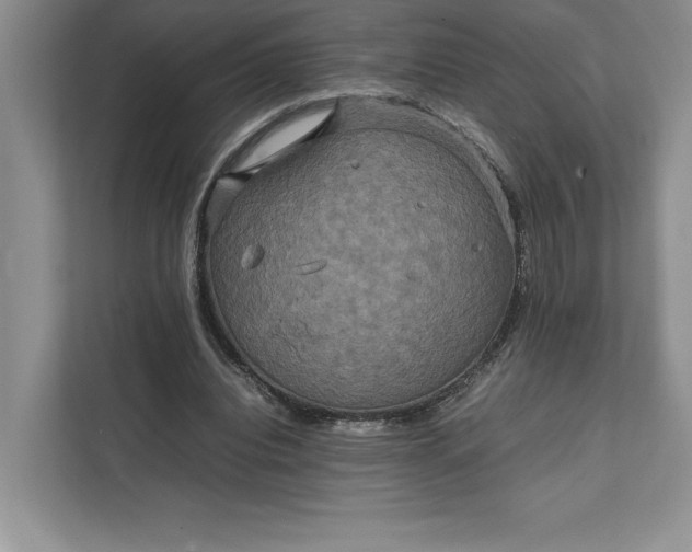 X0000111810440200908061118