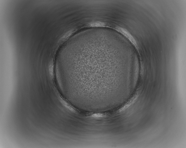 X0000111810441200908061118