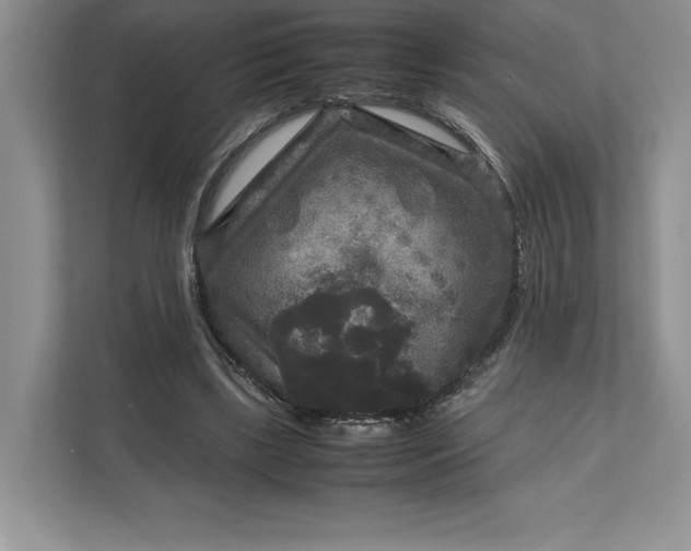 X0000111810443200908061118