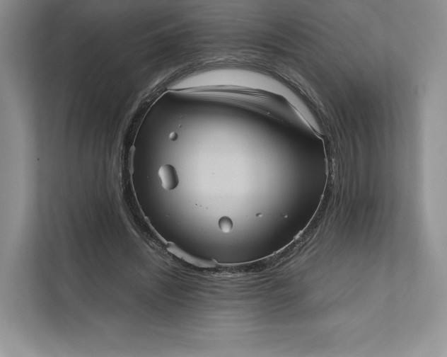 X0000111810444200908061118