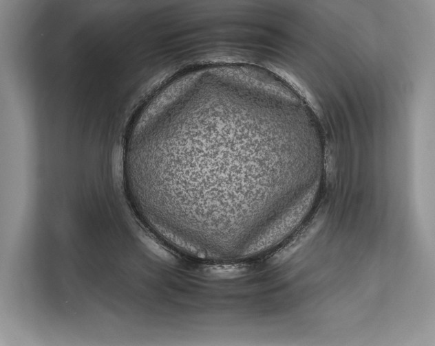 X0000111810445200908061118