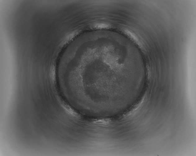 X0000111810447200908061118