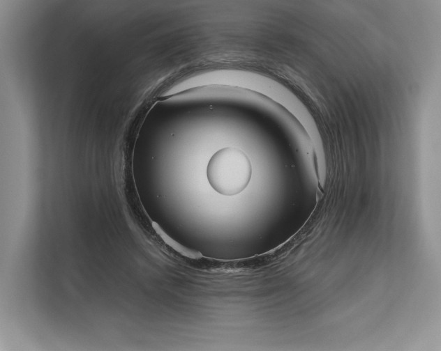 X0000111810448200908061118