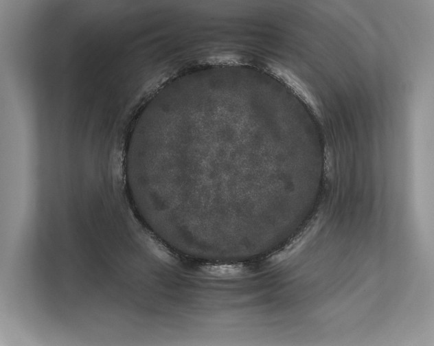 X0000111810449200908061118