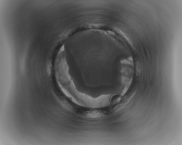 X0000111810451200908061118