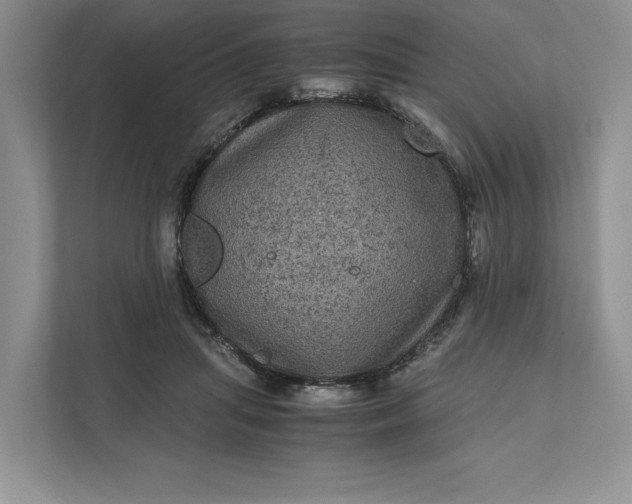 X0000111810455200908061119
