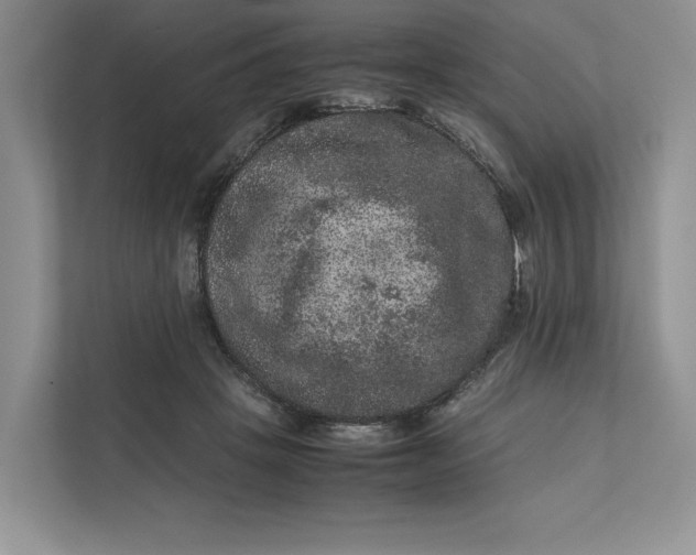 X0000111810457200908061119