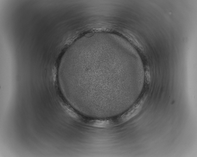 X0000111810458200908061119