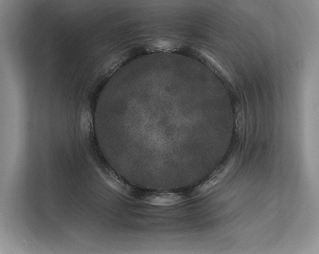 X0000111810459200908061119