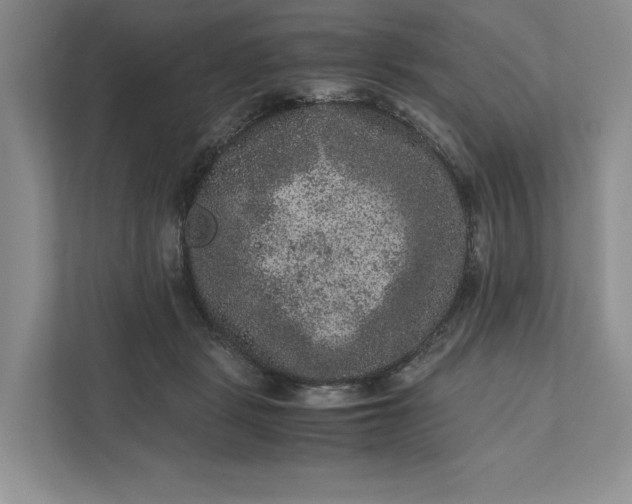 X0000111810461200908061119