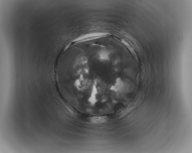 X0000111810465200908061119