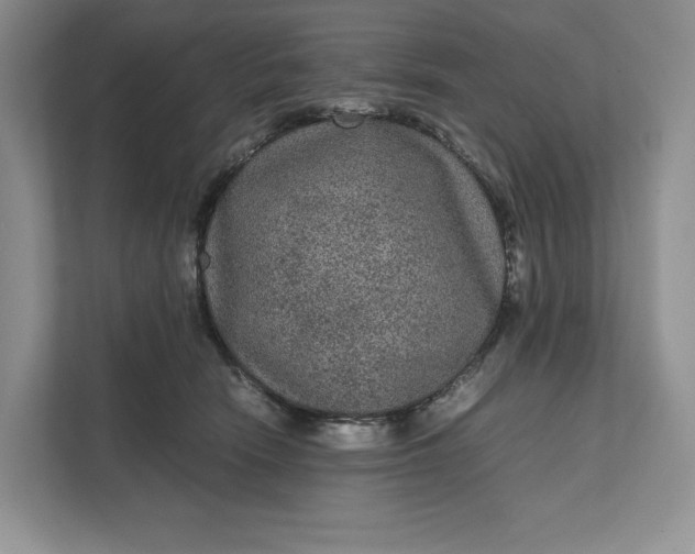 X0000111810466200908061119