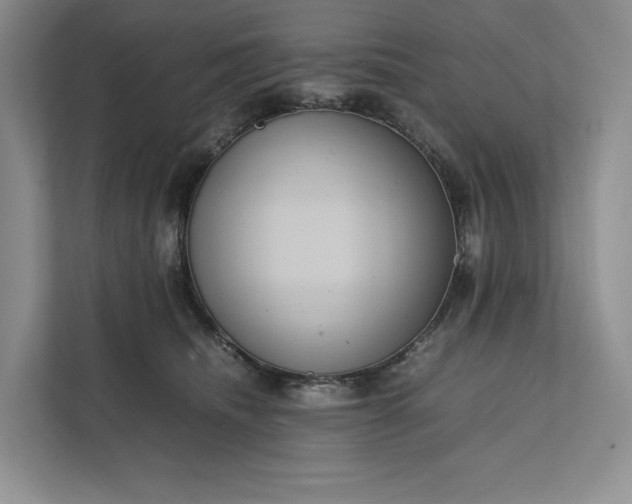 X0000111810468200908061119