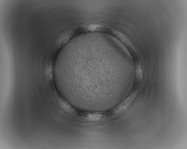 X0000111810470200908061119