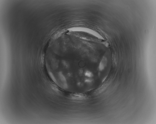 X0000111810475200908061119