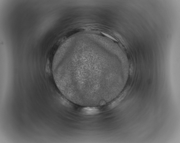 X0000111810477200908061119