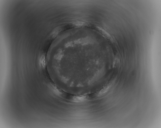 X0000111810479200908061119