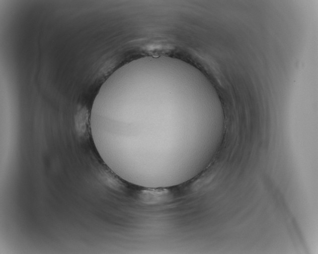 X0000111810480200908061119